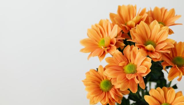 Strauß mit orangen Tulpen